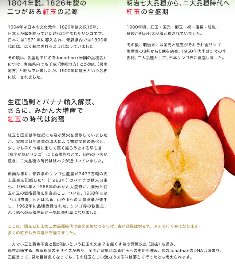 明治七大品種から、二大品種時代へ 紅玉の全盛期。1900年頃、紅玉・国光・柳玉・祝・倭錦・紅魁・紅絞が明治七大品種と称されていました。その後、明治末には国光と紅玉がそれぞれ全リンゴ生産量の3割から5割を締め、1950年代半ばまでの半世紀、二大品種として、日本リンゴ界に君臨しました。生産過剰とバナナ輸入解禁、更に、みかん大増産で紅玉の時代は終焉。紅玉と国光は半世紀にも及ぶ繁栄を謳歌していましたが、実際には生産量の増大により需給関係の悪化と、少しでも早く市場に出して高く売ろうとする早もぎ(熟度が低いリンゴ)による悪評などで、価格の下落が続き、二大品種の時代は終わりが近づいていました。皮肉な事に、青森県のリンゴ生産量が3437万箱の史上最高を記録した年(1963年)のバナナの輸入自由化、1964年と1966年のみかん大豊作が、国光と紅玉小玉の価格暴落を引き起こし、ついに、1968年には「山川市場」と呼ばれる、山や川への大量廃棄が発生し、1962年に品種登録された、リンゴ界の救世主、ふじ他への品種更新が一気に進む事になりました。