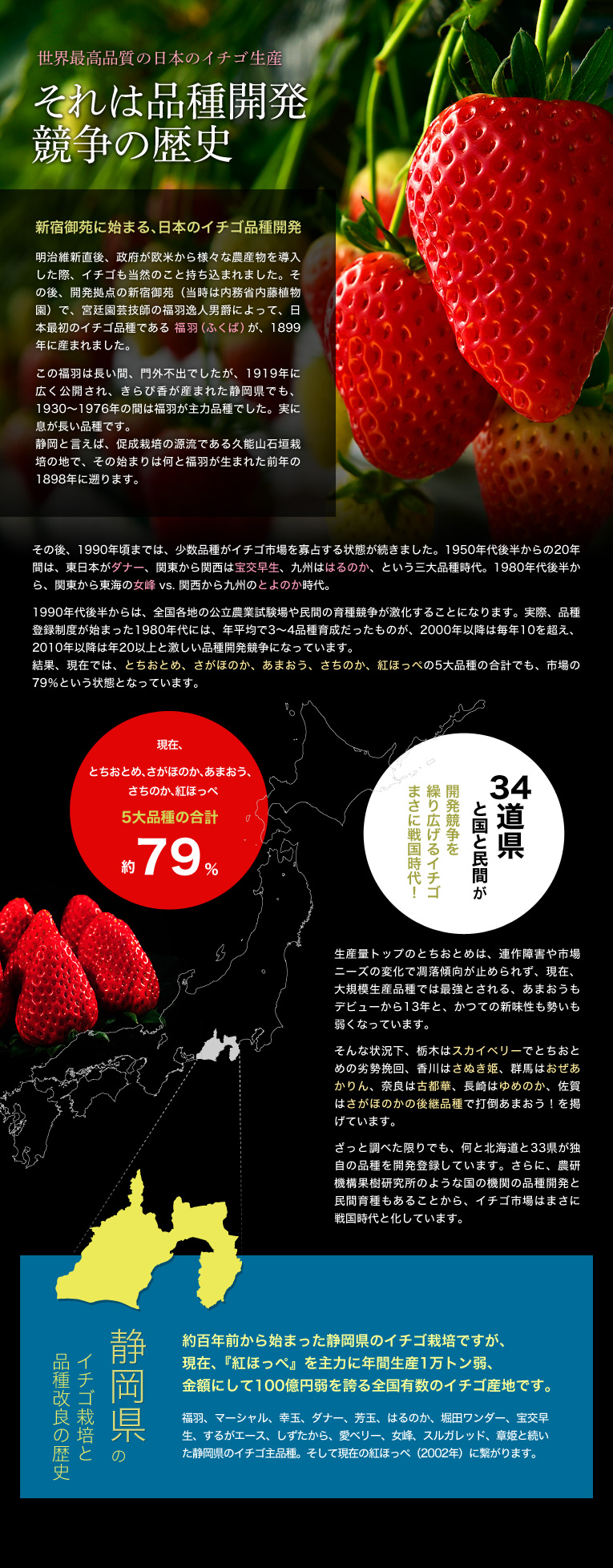 世界最高品質の日本のイチゴ生産 それは品種開発競争の歴史
新宿御苑に始まる、日本のイチゴ品種開発
明治維新直後、政府が欧米から様々な農産物を導入した際、イチゴも当然のこと持ち込まれました。その後、開発拠点の新宿御苑(当時は内務省内藤植物園)で、宮廷園芸技師の福羽逸人男爵によって、日本最初のイチゴ品種である福羽(ふくば)が、1899年に産まれました。この福羽は長い間、門外不出でしたが、1919年に広く公開され、きらぴ香が産まれた静岡県でも、1930〜1976年の間は福羽が主力品種でした。実に息が長い品種です。静岡と言えば、促成栽培の源流である久能山石垣栽培の地で、その始まりは何と福羽が生まれた前年の1898年に遡ります。
その後、1990年頃までは、少数品種がイチゴ市場を寡占する状態が続きました。1950年代後半からの20年間は、東日本がダナー、関東から関西は宝交早生、九州ははるのか、という三大品種時代。1980年代後半から、関東から東海の女峰VS関西から九州のとよのか時代。1990年代後半からは、全国各地の公立農業試験場や民間の育種競争が激化することになります。実際、品種登録制度が始まった1980年代には、年平均で3〜4品種育成だったものが、2000年以降は毎年10を超え、2010年以降は年20以上と激しい品種開発競争になっています。結果、現在では、とちおとめ、さがほのか、あまおう、さちのか、紅ほっぺの5大品種の合計でも、市場の79%という状態となっています。
34道県と国と民間が開発競争を繰り広げるイチゴ まさに戦国時代
生産量トップのとちおとめは、連作障害や市場ニーズの変化で凋落傾向が止められず、現在、大規模生産品種では最強とされる、あまおうもデビューから13年と、かつての新味性も勢いも弱くなっています。そんな状況下、栃木はスカイベリーでとちおとめの劣勢挽回、香川はさぬき姫、群馬はおぜあかりん、奈良は古都華、長崎はゆめのか、佐賀はさがほのかの後継品種で打倒あまおう!を掲げています。ざっと調べた限りでも、何と北海道と33県が独自の品種を開発登録しています。さらに、農研機構果樹研究所のような国の機関の品種開発と民間育種もあることから、イチゴ市場はまさに戦国時代と化しています。
静岡県のイチゴ栽培と品種改良の歴史
約百年前から始まった静岡県のイチゴ栽培ですが、現在、『紅ほっぺ』を主力に年間生産1万トン弱、金額にして100億円弱を誇る全国有数のイチゴ産地です。福羽、マーシャル、幸玉、ダナー、芳玉、はるのか、堀田ワンダー、宝交早生、するがエース、しずたから、愛ベリー、女峰、スルガレッド、章姫と続いた静岡県のイチゴ主品種。そして現在の紅ほっぺ(2002年)に繋がります。