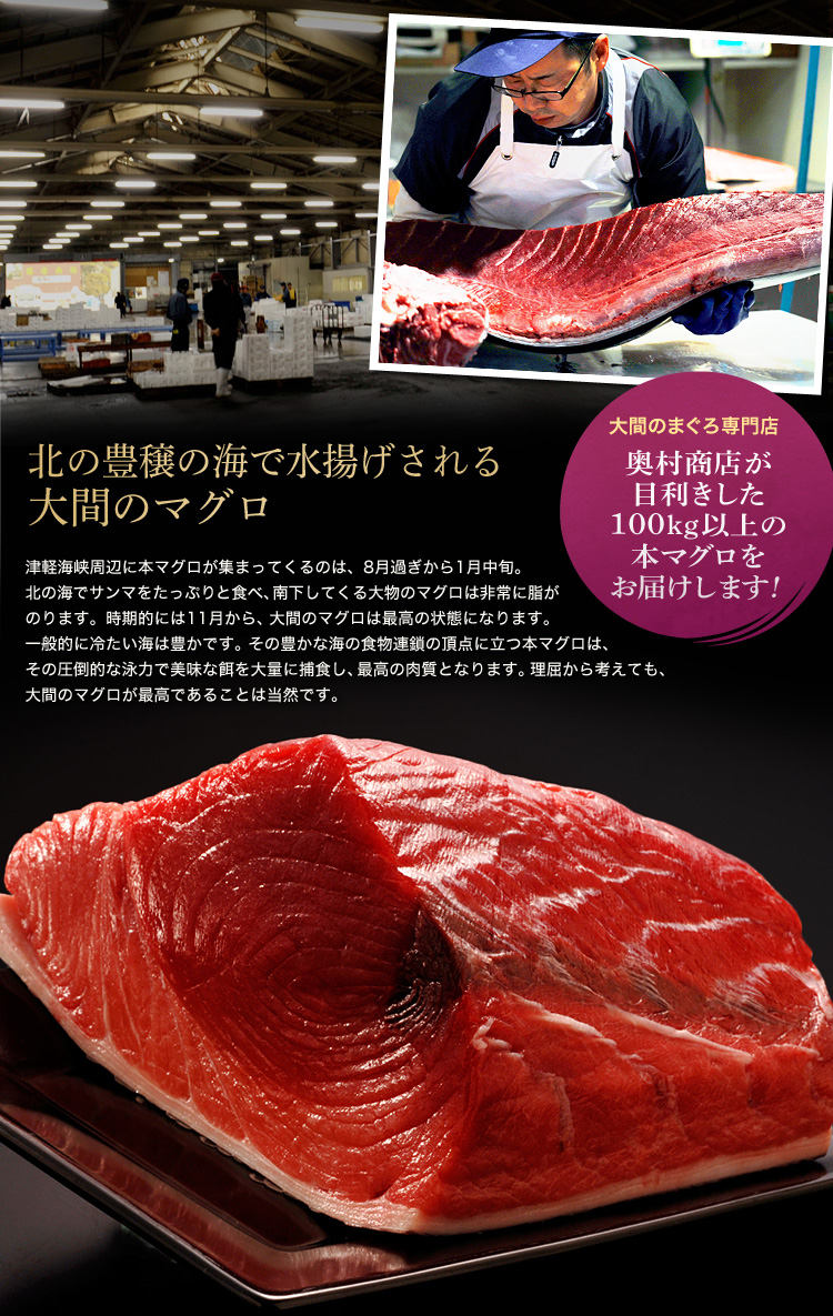 大間のまぐろ専門店「奥村商店」が目利きした100kg以上の本マグロをお届けします!北の豊穣の海で水揚げされる大間のマグロ。津軽海峡周辺に本マグロが集まってくるのは、8月過ぎから1月中旬。北の海でサンマをたっぷりと食べ、南下してくる大物のマグロは非常に脂がのります。時期的には11月から、大間のマグロは最高の状態になります。一般的に冷たい海は豊かです。その豊かな海の食物連鎖の頂点に立つ本マグロは、その圧倒的な泳力で美味な餌を大量に捕食し、最高の肉質となります。理屈から考えても、大間のマグロが最高であることは当然です。