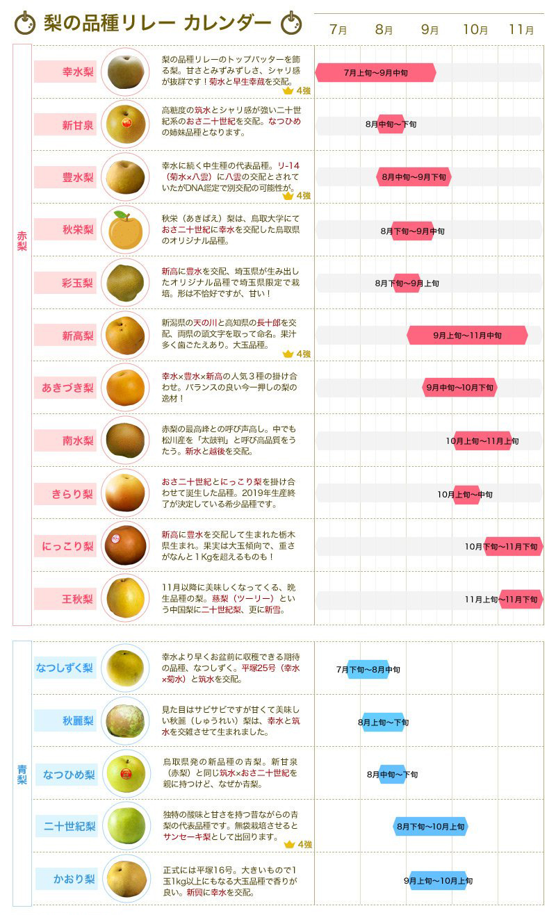 梨 年間収穫カレンダー早見表