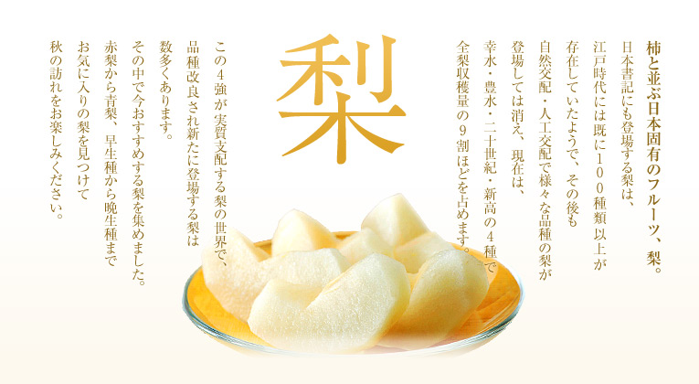 【梨特集】柿と並ぶ日本固有のフルーツ、梨。日本書記にも登場する梨は、江戸時代には既に100種類以上が存在していたようで、その後も自然交配・人工交配で様々な品種の梨が登場しては消え、現在は、幸水・豊水・二十世紀・新高の4種で全梨収穫量の9割ほどを占めます。この4強が実質支配する梨の世界で、品種改良され新たに登場する梨は数多くあります。その中で今おすすめする梨を集めました。赤梨から青梨、早生種から晩生種までお気に入りの梨を見つけて秋の訪れをお楽しみください。