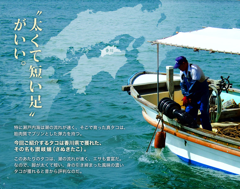 太くて短い足がいい。