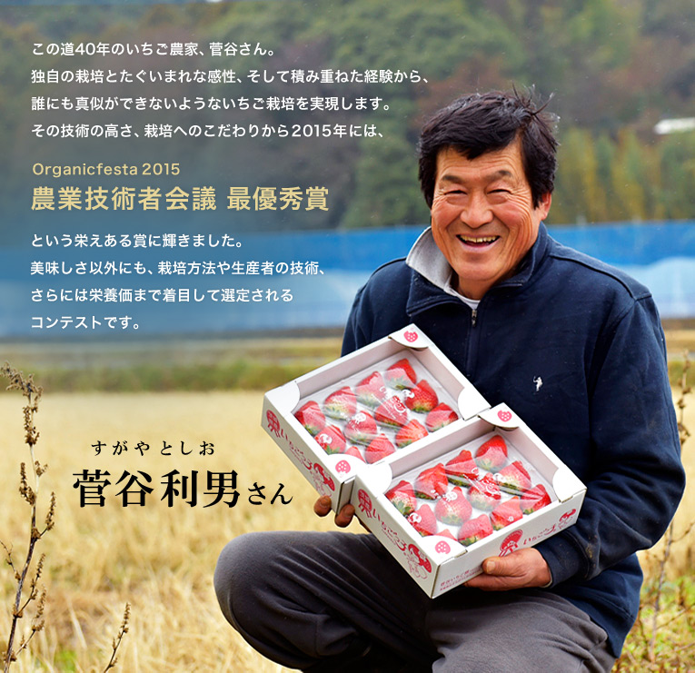 この道40年のいちご農家、菅谷さん。独自の栽培とたぐいまれな感性、そして積み重ねた経験から、誰にも真似ができないようないちご栽培を実現します。その技術の高さ、栽培へのこだわりから2015年には、農業技術者会議 最優秀賞という栄えある賞に輝きました。美味しさ以外にも、栽培方法や生産者の技術、さらには栄養価まで着目して選定されるコンテストです。