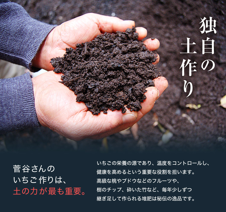 独自の土作り 菅谷さんのいちご作りは、土の力が最も重要。 いちごの栄養の源であり、温度をコントロールし、健康を高めるという重要な役割を担います。高級な桃やブドウなどのフルーツや、樹のチップ、砕いた竹など、毎年少しずつ
継ぎ足して作られる堆肥は秘伝の逸品です。