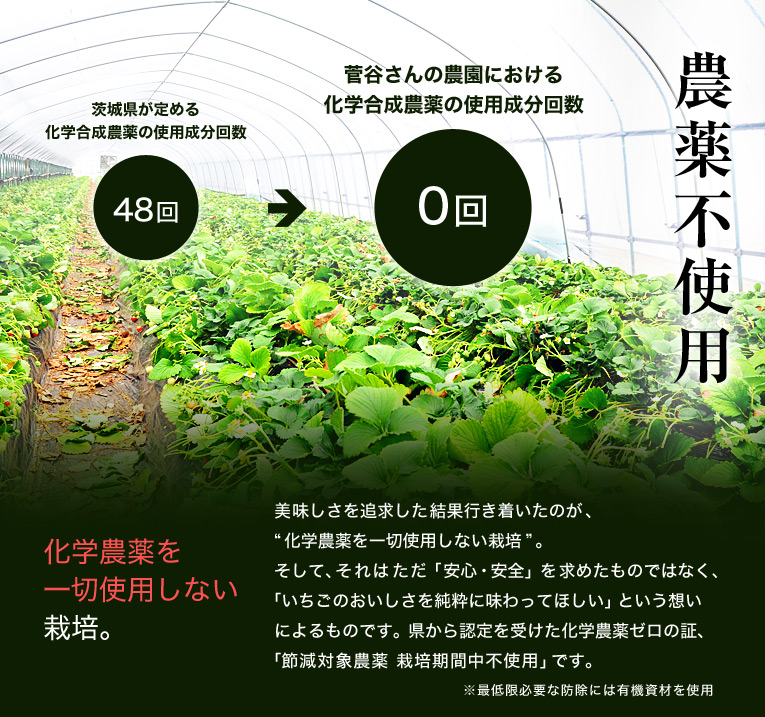 農薬不使用 化学農薬を一切使用しない栽培。 美味しさを追求した結果行き着いたのが、“化学農薬を一切使用しない栽培”。そして、それはただ「安心・安全」を求めたものではなく、「いちごのおいしさを純粋に味わってほしい」という想いによるものです。県から認定を受けた化学農薬ゼロの証、「節減対象農薬 栽培期間中不使用」です。