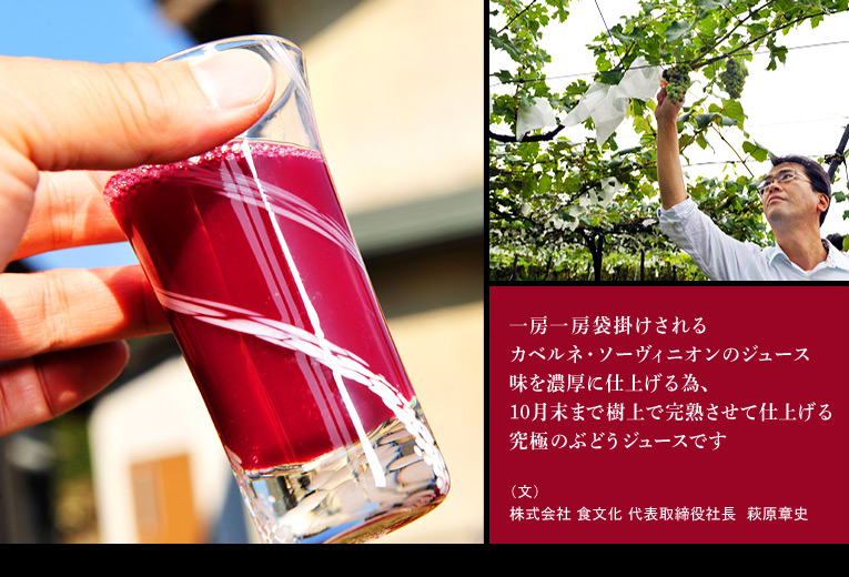 一房一房袋掛けされるカベルネ・ソーヴィニオンのジュース
味を濃厚に仕上げる為、10月末まで樹上で完熟させて仕上げる究極のぶどうジュースです (文)株式会社 食文化 代表取締役社長 萩原章史