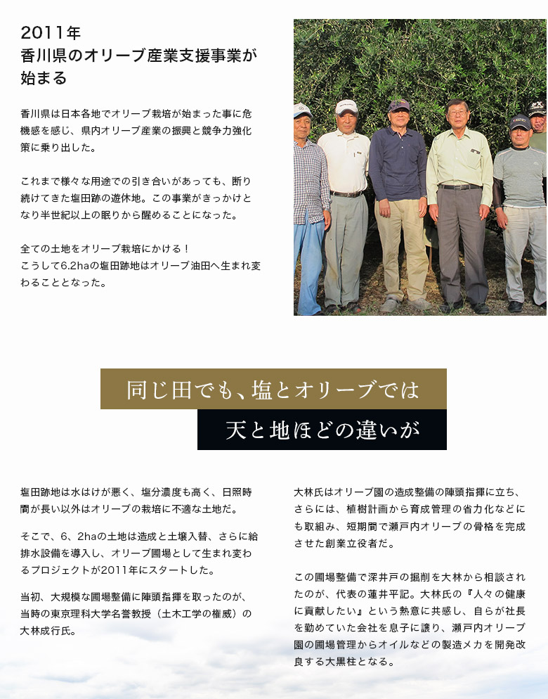 69歳の蓮井平記のエンジニア魂が創意工夫を生み出す!
広大な圃場の水管理
オリーブは乾燥に強いと思われているが、実は水はけが良い土壌が好きなだけで、実際には水を欲する植物。瀬戸内オリーブの目の前は海、そして広大だから、清らかな水を欲する3,000本のオリーブに、十分な水を与えるのは実に大変だ。
蓮井は深い井戸を掘り、清らかな水を確保し、圃場を区分けして水路を作り、さらに園内のオリーブの根元に点滴チュープを張り巡らした。雨の少ない季節はコンピューター管理で水の自動供給もできるようにしている。
オリーブオイル生産コストの約半分を占める、搾油・濾過・瓶詰工程の改良
イタリアから輸入したオリーブ搾油機には、蓮井の手で様々な改造が加えられている。オリーブオイルは唯一、果肉を練ることで油分を抽出する油だが、イタリアの機械には窓がないので、機械の中でオリーブの果肉がどんな状態かを見る事ができない。機械を開ければ見る事ができるが、それでは安全装置が働いて、機械は止まってしまう。当然、果肉の酸化が進み、オイルも酸化する。
そこで、蓮井は小窓を自分で作って練り状態を外から見えるようにした。また、イタリア製モーターは不安定で、制御がいい加減になるので、動力系統も全て自ら設計して、入れ替えを行った。
さらに、オリーブオイル濾過(ろか)工程は改良というより、まさにゼロベースで自動化システムを作りあげ、瓶詰までを含め、収穫から12時間以内という、驚異的な生産性を実現する目処も立った。
高齢化と人口減少の波は香川県坂出でも激しさを増している。今後、高齢化と人口減少が進むことはあっても、改善することは、ほぼ無いと考えないとならない。
そのため、少ない労働力、あるいは体力が弱い高齢者で、圃場や生産工程をマネージメントすることが、ビジネスとしての成功の鍵を握る。その意味で蓮井のエンジニア魂が生み出す、メカと創意工夫は非常に重要な役割を担っている。
環境への配慮!土壌改良、農薬の削減、循環型農業へのこだわり
瀬戸内オリーブの圃場には牡蠣殻が敷き詰められている。弱アルカリ性の土壌を好むオリーブのためだ。また、マリーゴールドの害虫駆除効果を期待してオリーブの根元に植えてもいる。
いずれも試験的な試みであるが、全てはオリーブにも、オリーブ園で働く人間にも優しい環境作りのためだ。