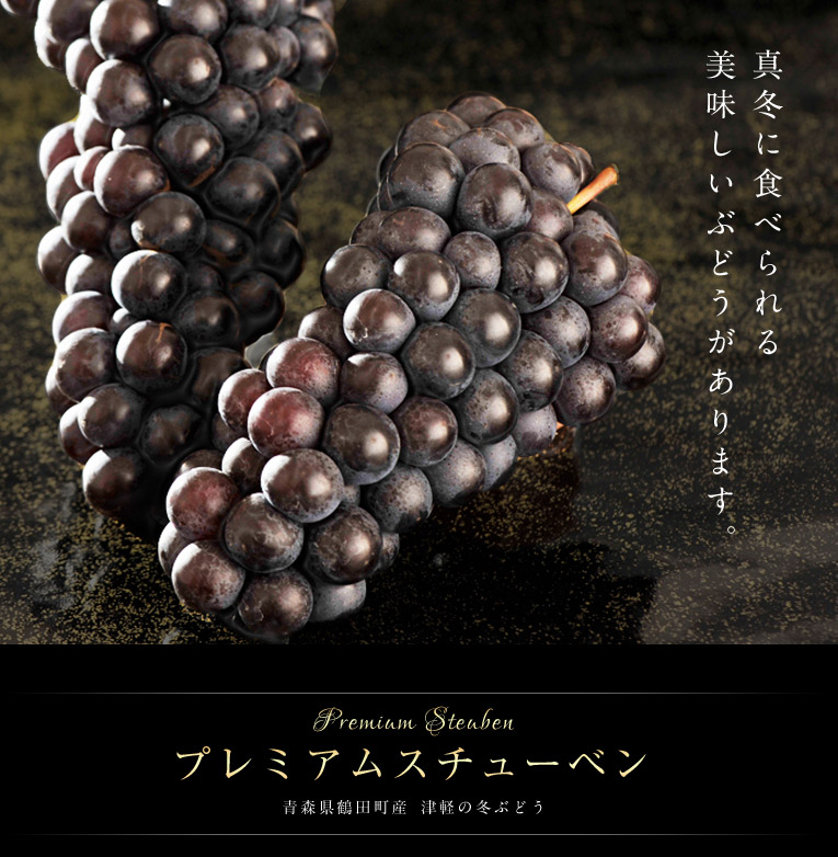 真冬に食べられる美味しいぶどう プレミアムスチューベン 青森県鶴田町産津軽の冬ぶどう