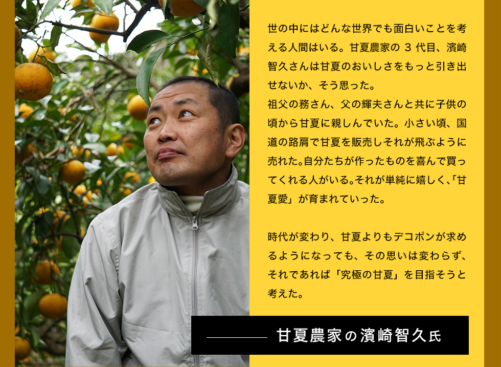 世の中には面白いことを考える人間はいるものだ。甘夏農家の3代目、濱崎智久さんは甘夏のおいしさをもっと引き出せないか、そう思った。祖父の務さん、父の輝夫さんと共に子供の頃から甘夏に親しんでいた。小さい頃、国道の路肩で甘夏を販売しそれが飛ぶように売れた。自分たちが作ったものを喜んで買ってくれる人がいる。それが単純に嬉しく、「甘夏愛」が育まれていった。時代が変わり、甘夏よりもデコポンが求めるようになっても、その思いは変わらず、それであれば「究極の甘夏」を目指そうと考えた。